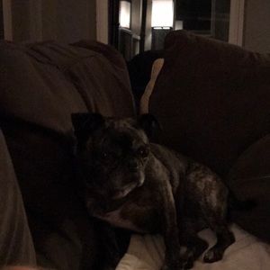 Meet your Posher, Matthew